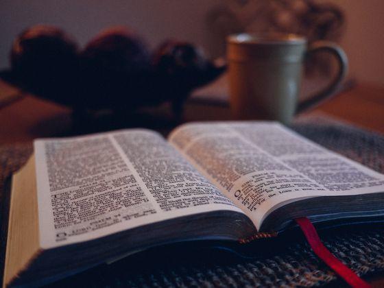 Primary-pic-bible-560x420.jpg